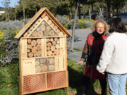 Sis parcs de Viladecans inauguren nous hotels d’insectes per promoure la biodiversitat