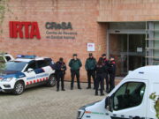 Ordeig diu que CE i Ministeri no han trobat per ara “cap indici” que l’origen del brot de PPA sigui a l’IRTA-CReSA
