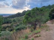 Can Trius i Mas Ratés, els pulmons verds de Viladecans