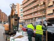 Inicien les tasques de plantació d’arbres a la plaça de Salvador Allende