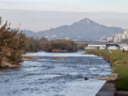 El BesArt de Santa Coloma s’expandirà cap a Montcada i preveu triplicar la superfície el 2030