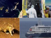 L’Institut Coordenades alerta que el cas del creuer amb hantavirus amenaça la reputació turística internacional de Canàries