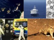 Canàries afronta un possible col·lapse reputacional per la crisi sanitària del MV Hondius