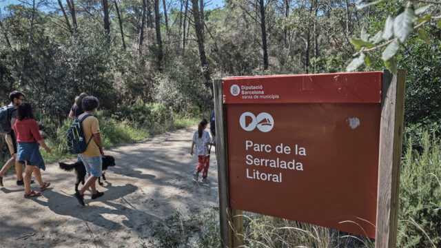 noticia_1782220608.jpg