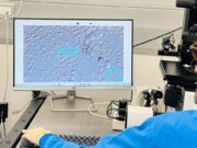 Una investigació d’IVI Barcelona analitza l’eficàcia clínica de SpermSearch AI