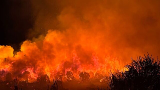 Imatge de l'incendi a Viladecans a la platja de la Murtra (Bombers)