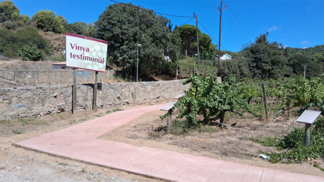 noticia_1789565174.jpg