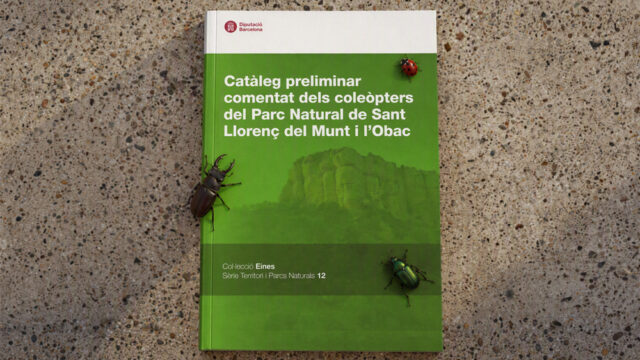 noticia_1793110600.jpg